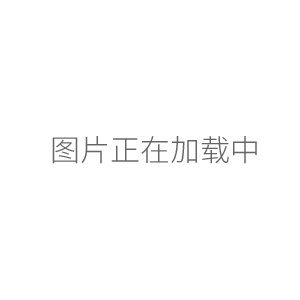 728230百得12道移液器Proline Plus10-100ul整支消毒